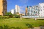 File:Benidorm - Plaza de SSMM los Reyes de España 2.jpg ...
