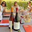 Grupo de personas disfrutando de una cata de vinos al aire libre en la bodega.
