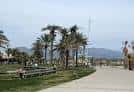 Pinar beach | Castelló Turismo