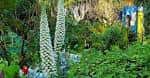 History and Current Of The Garder - Jardín Botánico La Almunya del Sur