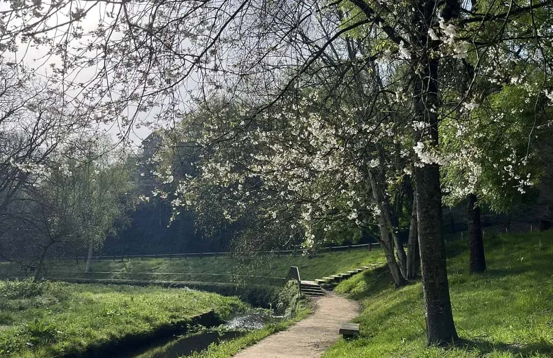 Hortalizas mimadas por el río Rato: así son los huertos urbanos de Lugo