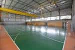 Cancha deportiva vacía dentro del Pabellón Universitario