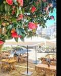 Zona de mesas al aire libre de Kamelia Taberna, adornada con flores de camelia