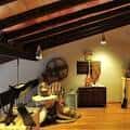 ALMAZARA EL TENDRE - Updated May 2025 - 13 Photos - Partida ...