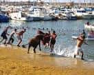 Bous a la Mar - Wikipedia, la enciclopedia libre
