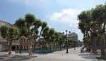 Amplia alameda arbolada con bancos bajo el cielo azul