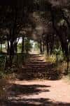 Pineda de Can Camins | Barcelona Travel Bloggers (#bcnTB)