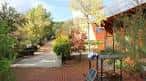 Pozuelo de Alarcón recibe el otoño con un programa de actividades ...