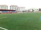 Vista del campo de fútbol con gradas y edificios al fondo