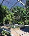 Jardí Botanic de la Universidad de Valencia - Picture of Jardin ...