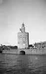 Sevilla Insólita - Torre del Oro, muelle y antigua desembocadura ...