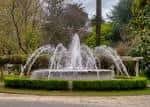 Fuente ornamental circular rodeada de vegetación en el parque