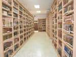 Pasillo entre las estanterías de libros antiguos de la Biblioteca Histórico Militar