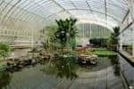 Interior del invernadero con estanque y vegetación exuberante