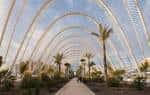 File:L'Umbracle, Valencia, Spain - Jan 2007.jpg – Travel guide at ...