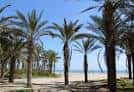 Pinar beach | Castelló Turismo