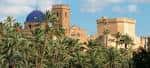The palm grove or Palmeral of Elche-Elx in Alicante | spain.info