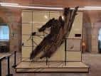 Restos de un naufragio expuestos en una vitrina dentro del museo