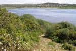 Complejo endorreico de Chiclana - Wikipedia, la enciclopedia libre