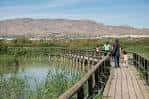 El Hondo Natural Park, a wetland of international importance ...