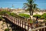 Els Arenals del Sol – VisitElche