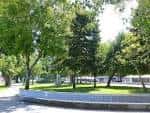 Zona verde de los Jardines de las Avenidas con árboles y sendero