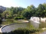 Estanque con fuentes y vegetación exuberante en el Parque de Castrelos