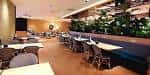 Interior de la zona de restauración o cafetería con mesas y decoración moderna