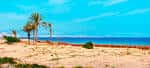 Beach: Arenales del Sol in Elche. Alicante - Alacant | spain.info