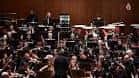 Orquesta sinfónica actuando en un auditorio