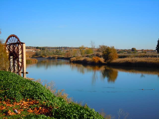 Parque de Safont