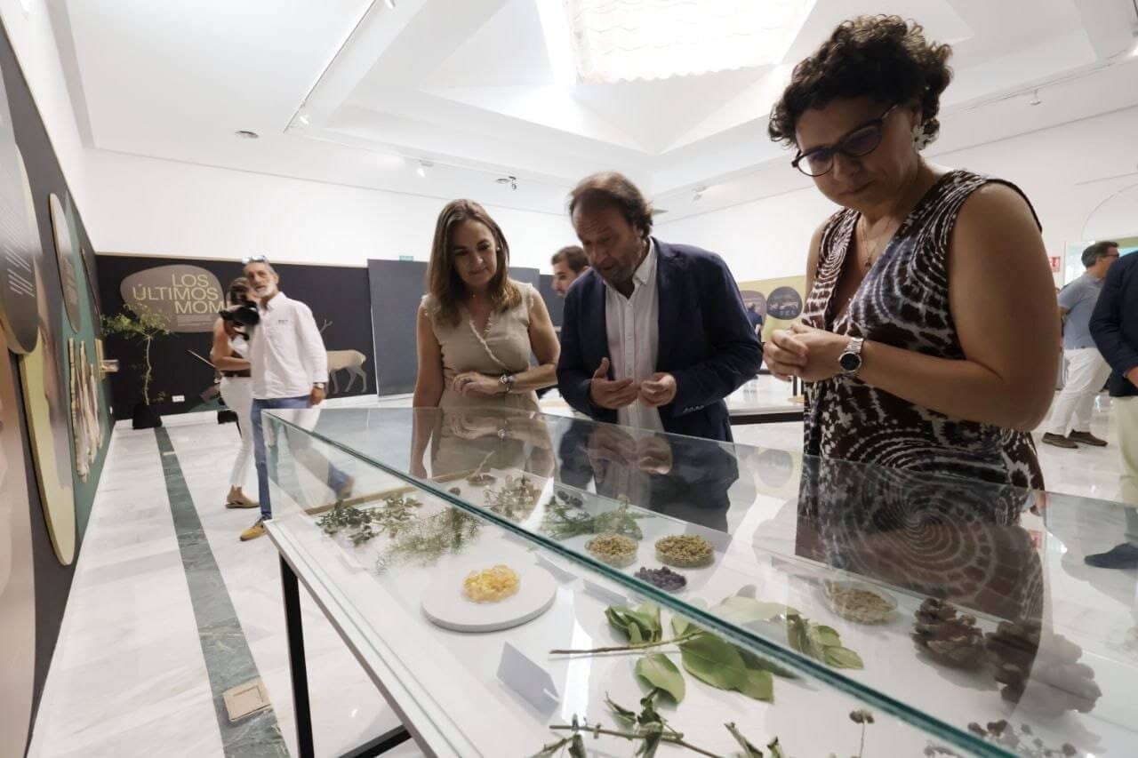 El declive neandertal hace 45.000 años: Crisis climática y la llegada del Homo sapiens