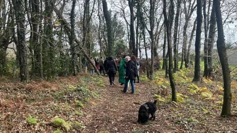 Jornada de arte para salvar la carballeira de A Barroca