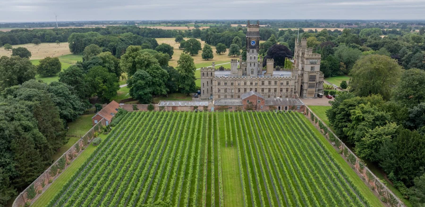 Under the Vines: A Carlton Towers Banquet