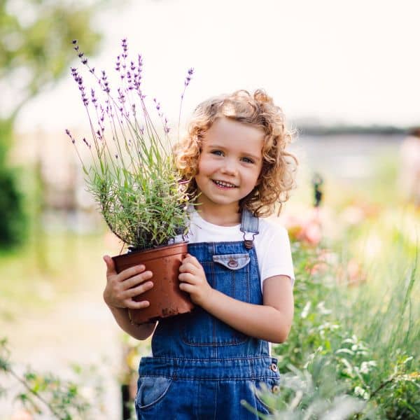 Little Seedlings Club workshop: Summer Sun vs Shade