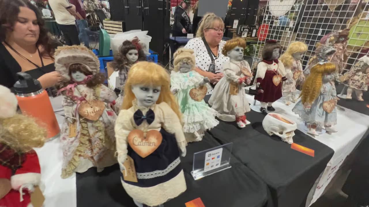 Halifax Oddities Show: a sanctuary for the macabre