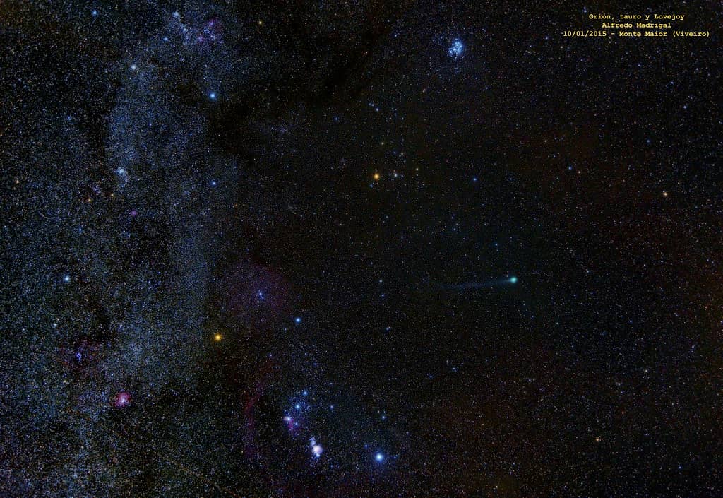 O universo de Fredo