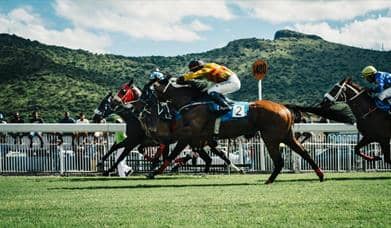Race Meeting: Afternoon Jump Racing