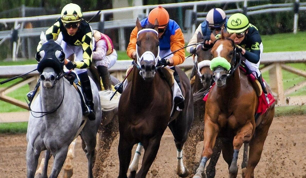 Race Meeting