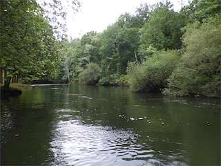 Romería en el Campo dos Caneiros