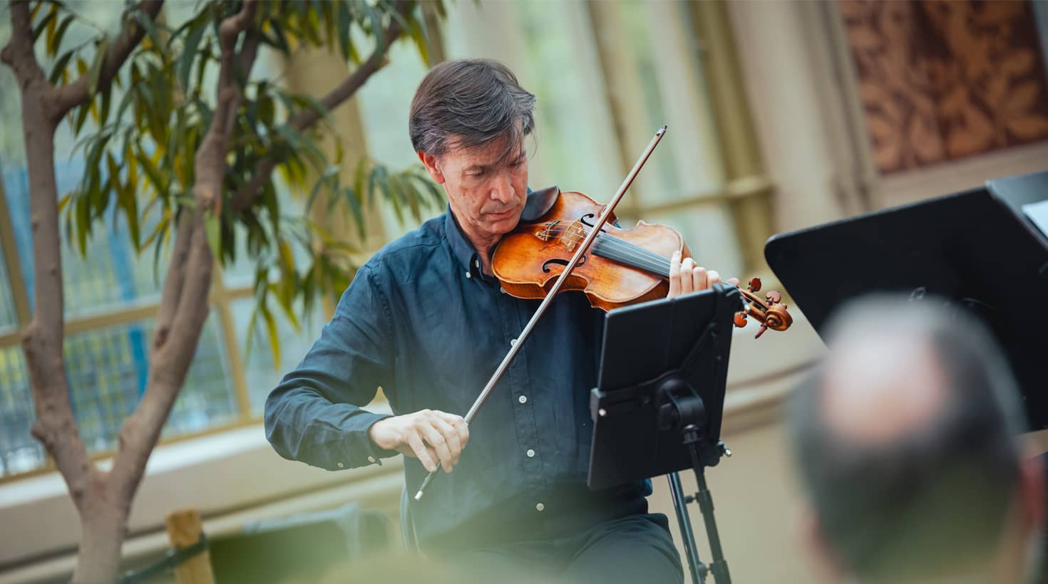 Cicle constel·lacions: concert III