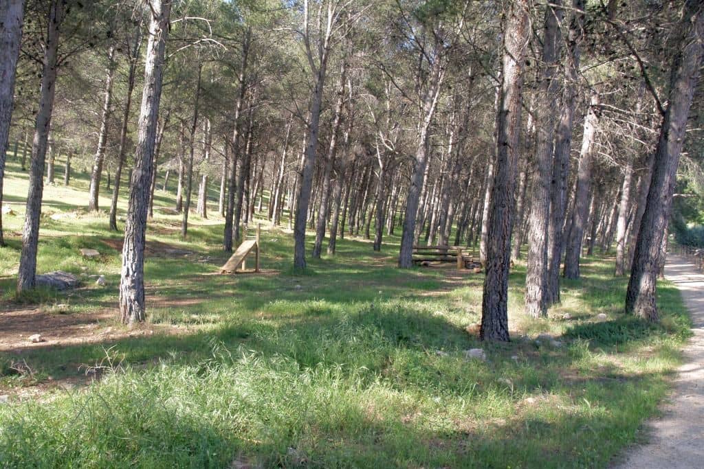Área recreativa El Neveral