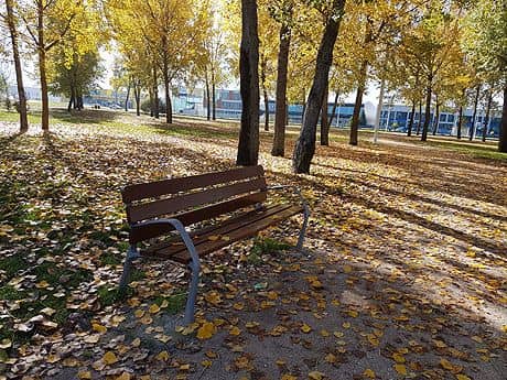 Parque del Oeste