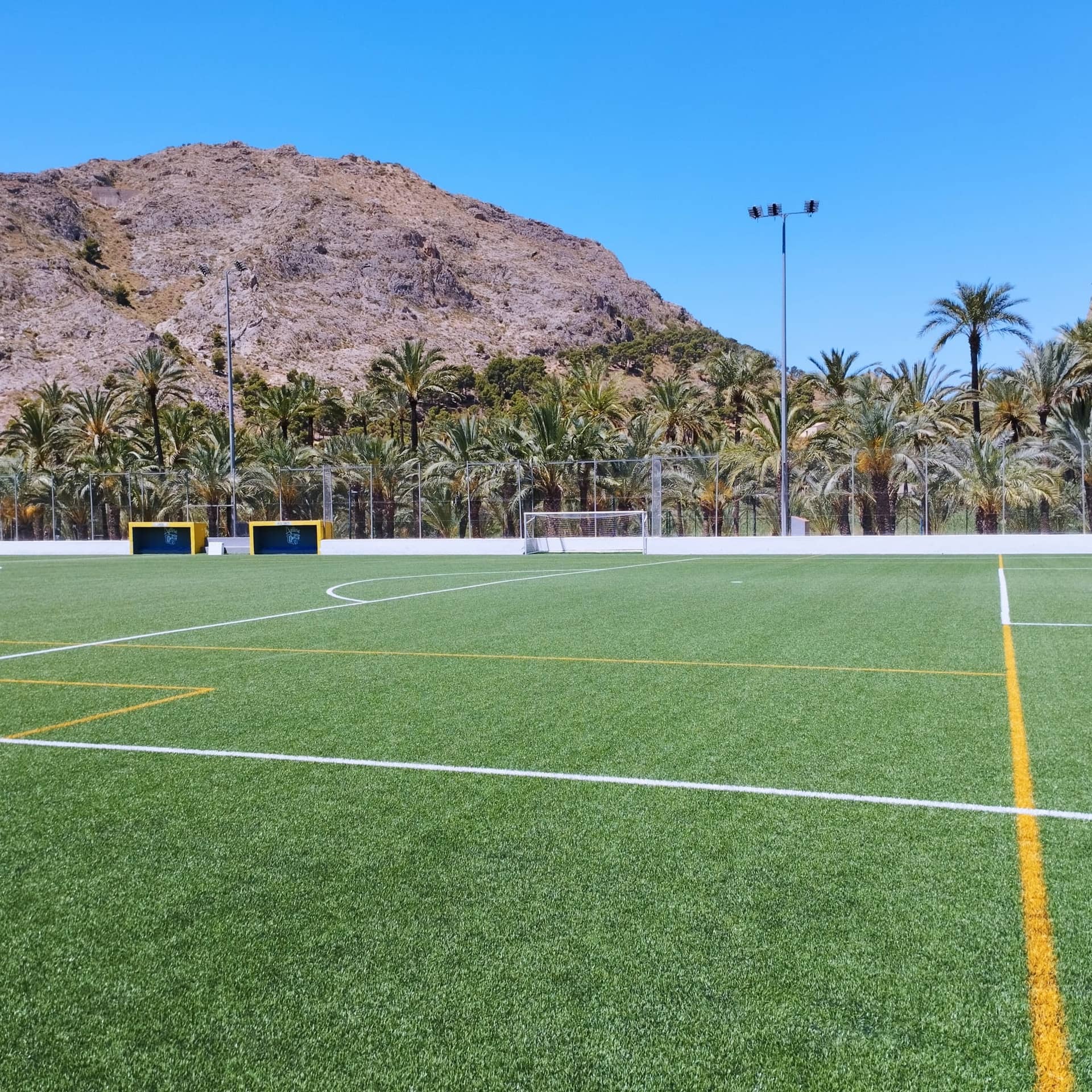 Polideportivo Municipal El Palmeral