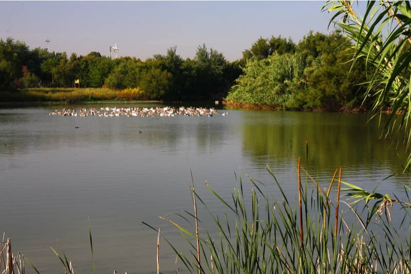 Laguna de Fuente del Rey