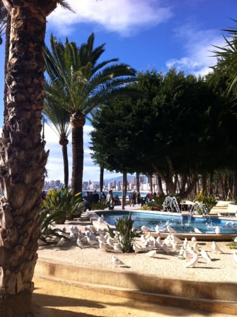Parque de Elche