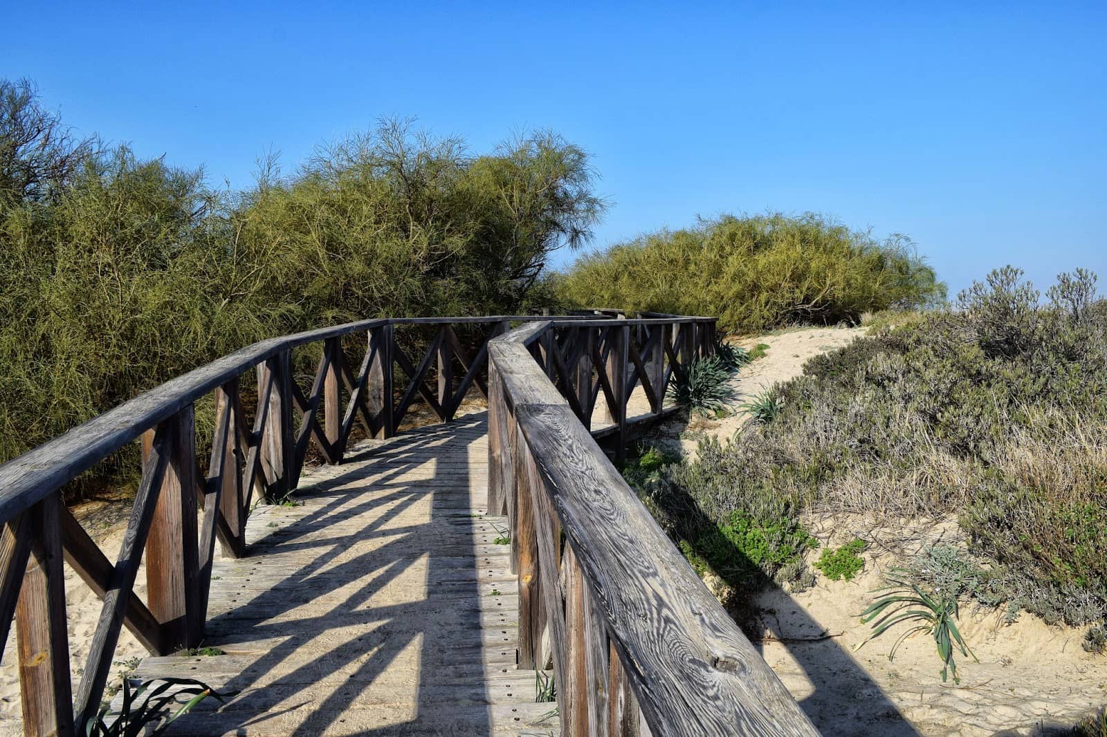 Sendero de la Punta del Boquerón