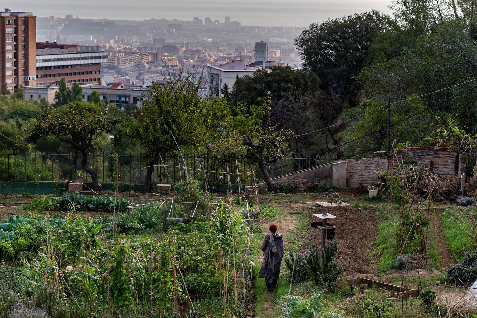 Hort Urbà Masia Can Soler