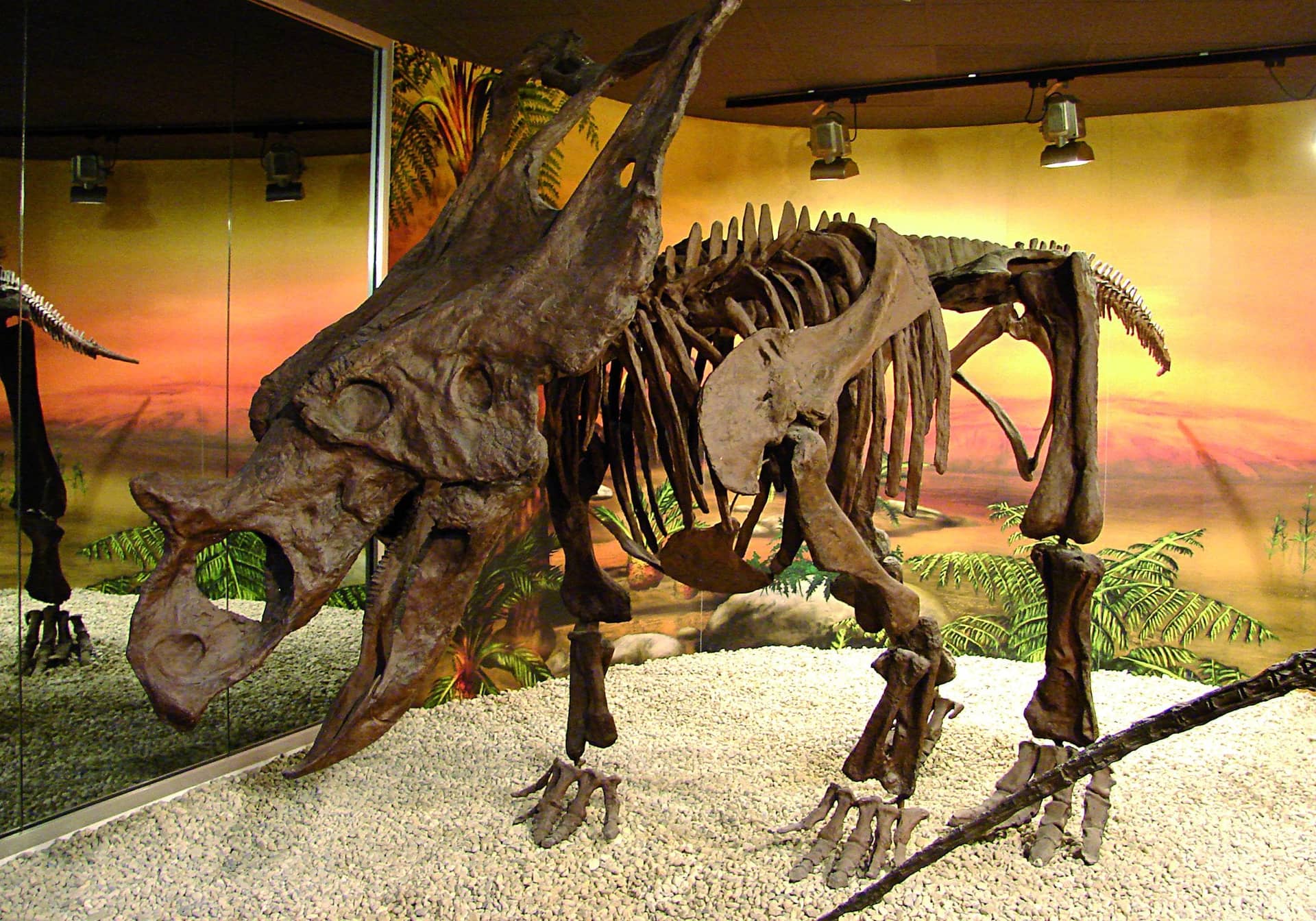 Museo Paleontológico de Elche (MUPE)