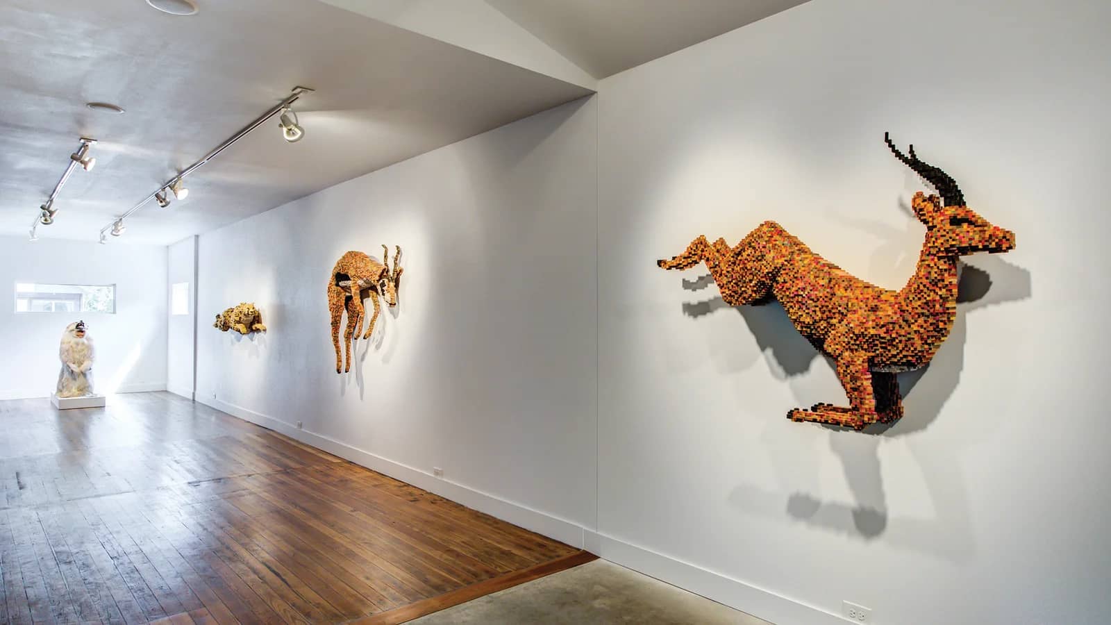 grayDUCK Gallery